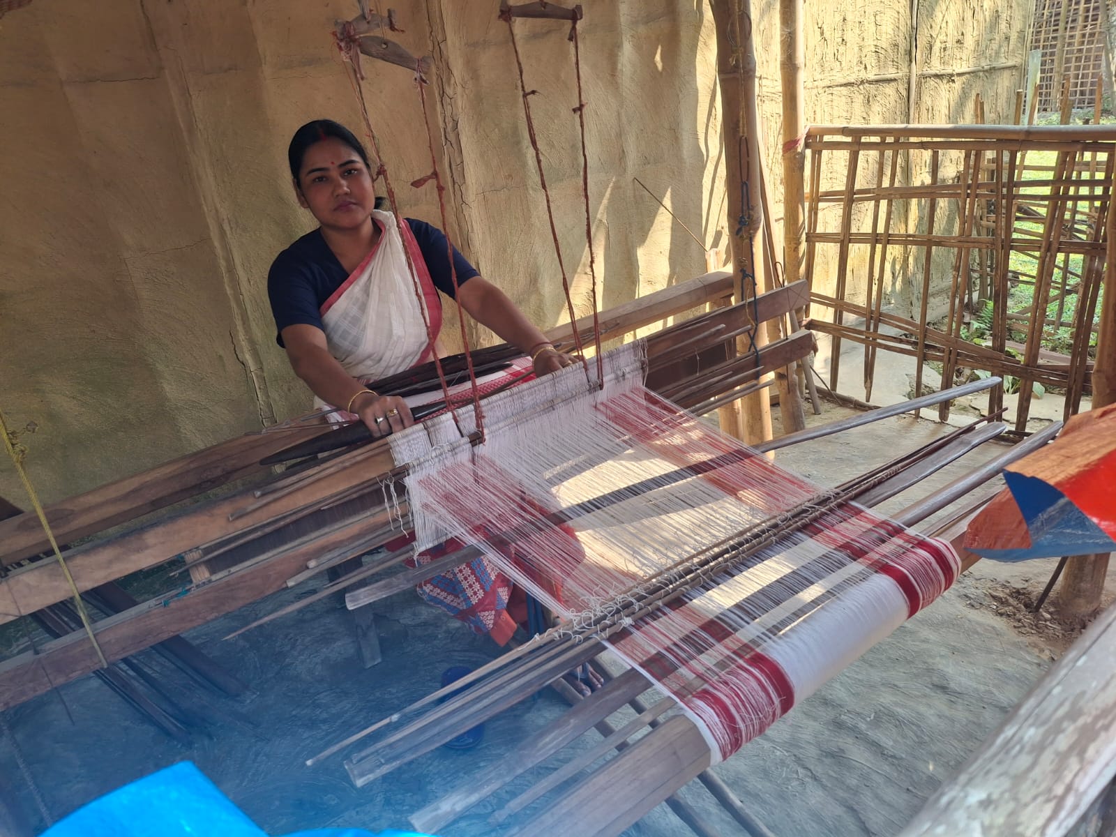 Empowering Rural Women through Handloom Training